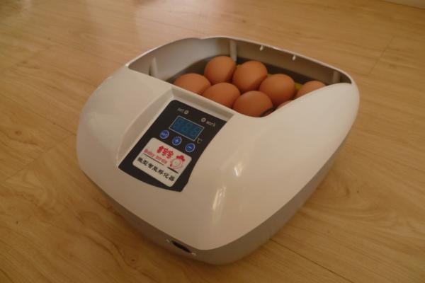 リトル・ママ人工孵化器Rcom mini（PX-03） ベルバード リトルママ 鳥用 小型自動孵卵器 RCOM MINI PX-03