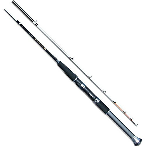 PRO TRUST フィッシング 船竿 PG テトラファイター 120H