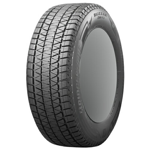 BRIDGESTONE BLIZZAK DM-V3