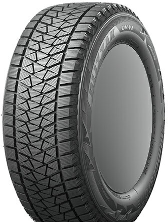BRIDGESTONE BLIZZAK DM-V2