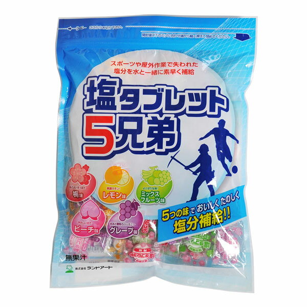 ランドアート　塩タブレット5兄弟