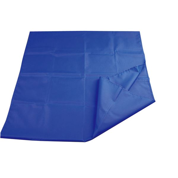 4531620300028 介助らくらくシート