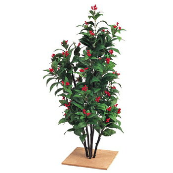 人工植物 センリョウ