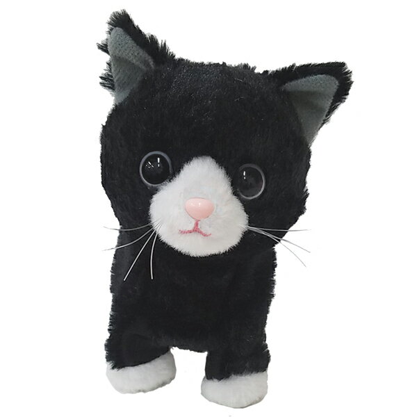 楽天市場】セガフェイブ 夢ねこ プレミアム(1セット) | 価格比較