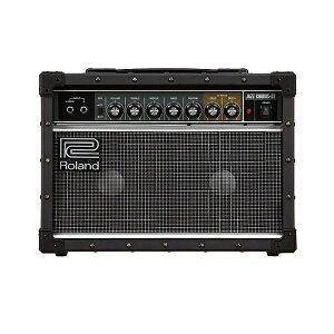 ROLAND JC-22