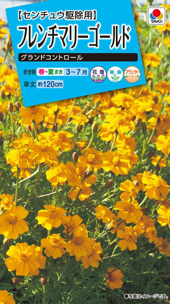 タキイ種苗 フレンチマリーゴールド グランドコントロール fkja01