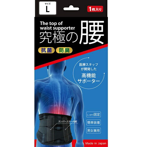 楽天市場】エスピーレボ 高機能サポーター 究極の腰 Lサイズ | 価格