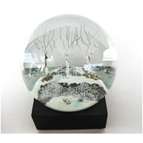 Cool  Globes スノードーム 楽天市場】ディテール スノードーム Cool Snow Globe Snow Storm