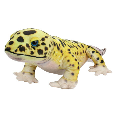 楽天市場】赤目アマガエル ぬいぐるみ アカメアマガエル かえる