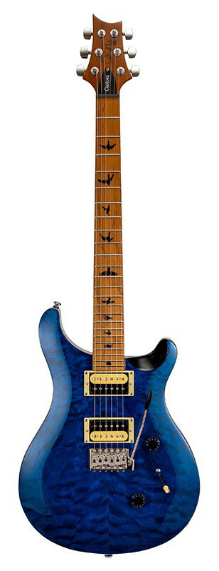 楽天市場】コルグ Paul Reed Smith PRS SE Custom 24 Vintage Yellow