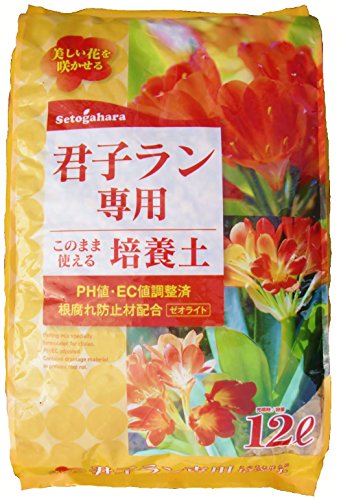 瀬戸ヶ原花苑 君子ラン専用≪培養土≫ 12L