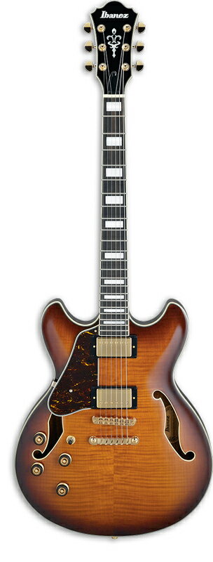 楽天市場】星野楽器 遂に登場の7弦フルアコ！ Ibanez Artcore
