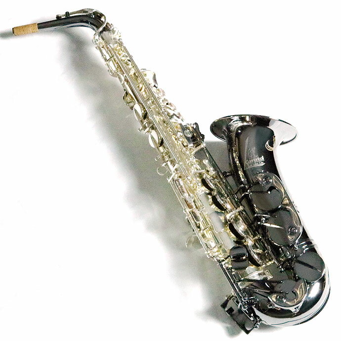 楽天市場】キョーリツコーポレーション Kaerntner ケルントナー アルト