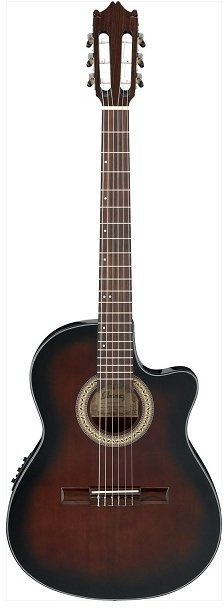 楽天市場】星野楽器 Ibanez AEG10NII-TNG | 価格比較 - 商品価格ナビ