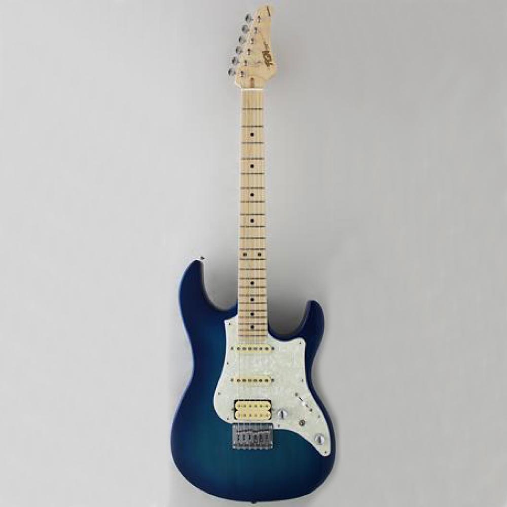 楽天市場】フジゲン FUJIGEN / FgN Boundary Series ODYSSEY BOS-M