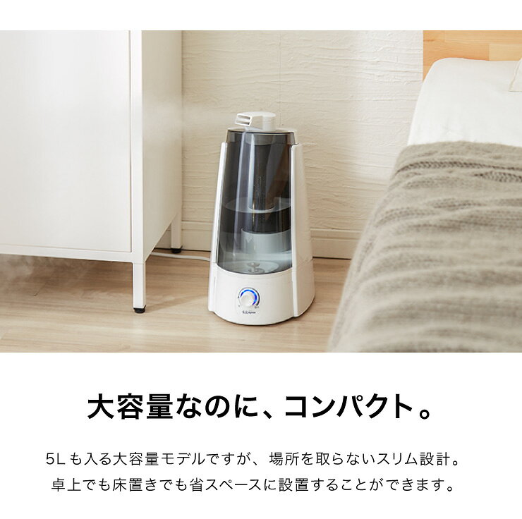 楽天市場】エスケイジャパンセールス エスケイジャパン 超音波噴霧器