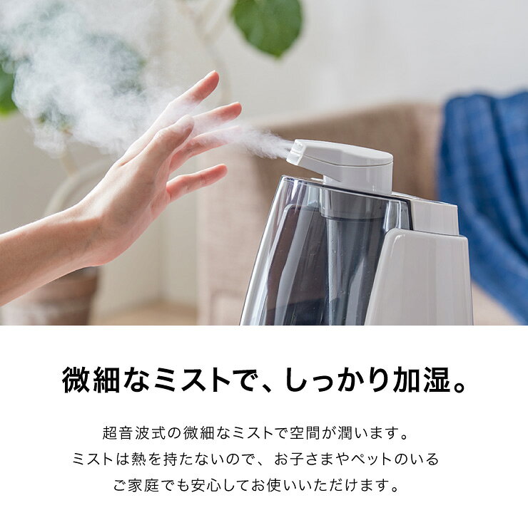 楽天市場】エスケイジャパンセールス エスケイジャパン 超音波噴霧器