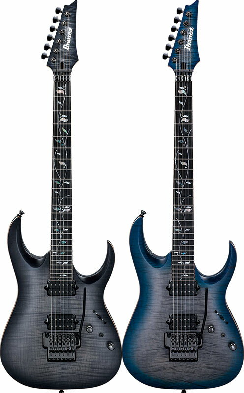 アイバニーズ Amazon | Ibanez アイバニーズ AW54OPN Artwood Solid Top