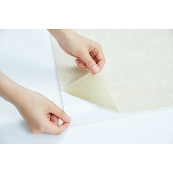 エアークエストグリーン 57 aqg1-01-01    り 業務用 エアコン フィルター