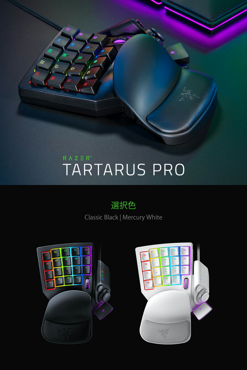 Razer Razer Tartarus Pro RZ07-03110100-R3M1 津田沼