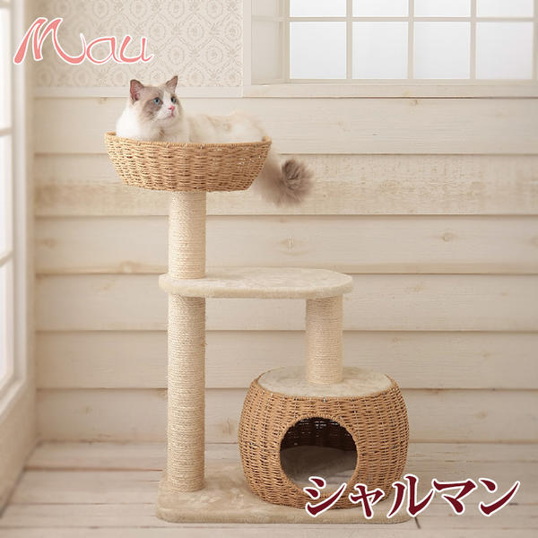 キャットタワー　MAUアントレ Amazon | マウ (Mau) Mauタワー アントレ | Mau | キャット