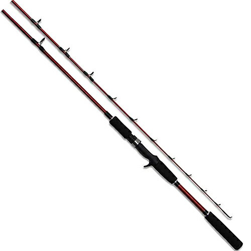 PRO TRUST フィッシング 船竿 アネスタ ライトゲームSV ANESTA LIGHT GAME SV TYPEI