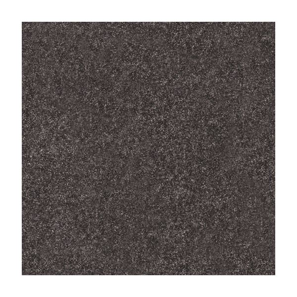 スミノエ タイルカーペット 防炎 制電 ECOS PX-3021S 50×50cm 20枚入