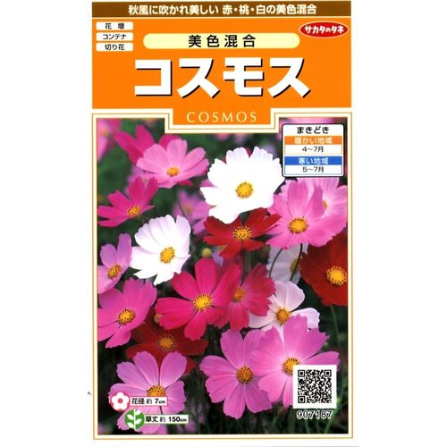 サカタのタネ｜SAKATA SEED CORPORATION 実咲 コスモス 美色混合 907187