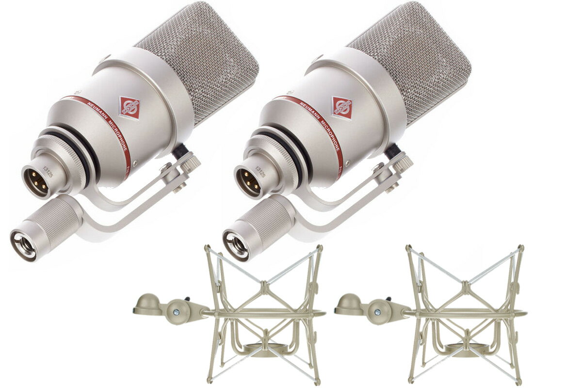 NEUMANN ノイマン / TLM 170 R Stereo   ラージ ダイヤフラム マイクロフォン