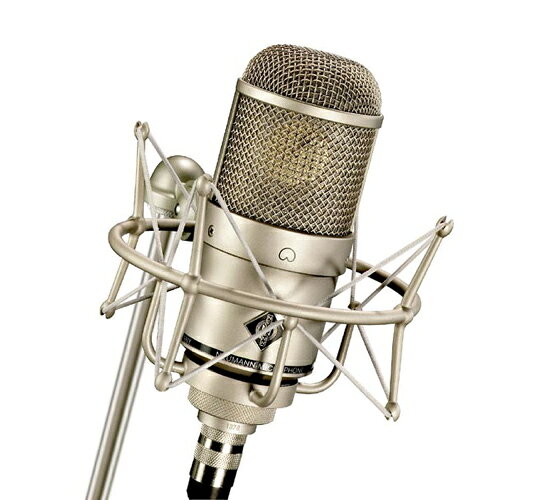 M147 TUBE SET ノイマン コンデンサーマイク M147tube NEUMANN