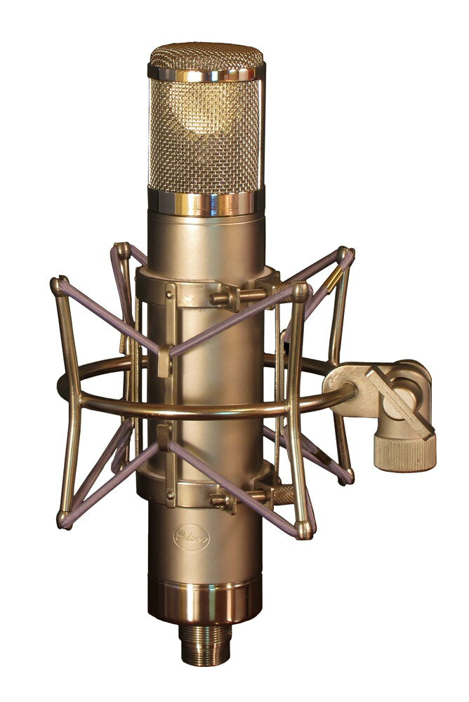 Peluso Microphone Lab ラージダイアフラム チューブマイクロフォン 指向特性9パターン P-12