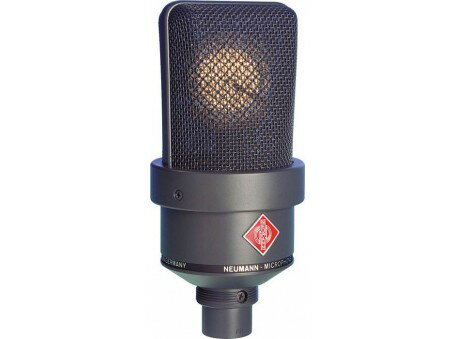 ＊*＊様 【高級・高性能】バイノーラルマイク【33,800円の商品】 楽天市場】翌日配達 KU100 ダミーヘッドマイク バイノーラル