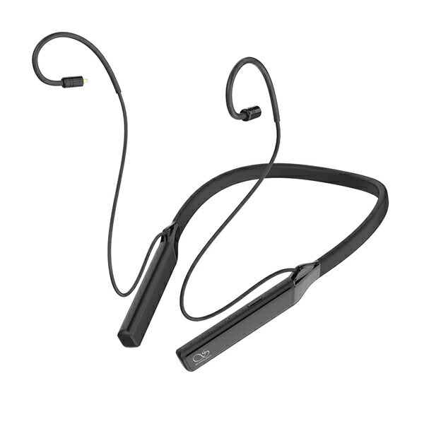 専用（Shanling MW200） Amazon.co.jp: Shanling(シャンリン)MW200 Bluetooth対応 無線