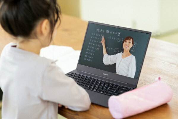 IRIS ノートパソコン LUCA IPC-AA1401-HM