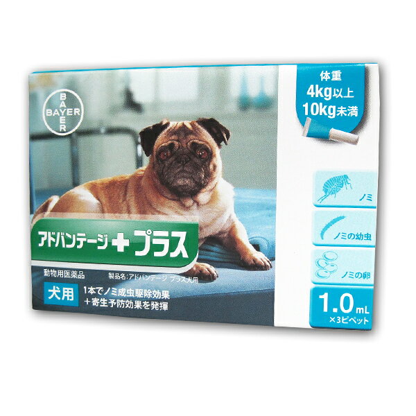 楽天市場】日本全薬工業 犬猫用 D-フラクション プレミアム(60ml