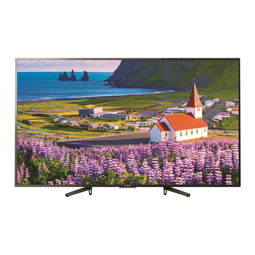 フナイ FE-55U6030 大型有機ELテレビ 4K対応 2020年製 フナイ FE-55U6030 大型有機ELテレビ 4K対応 2020年製
