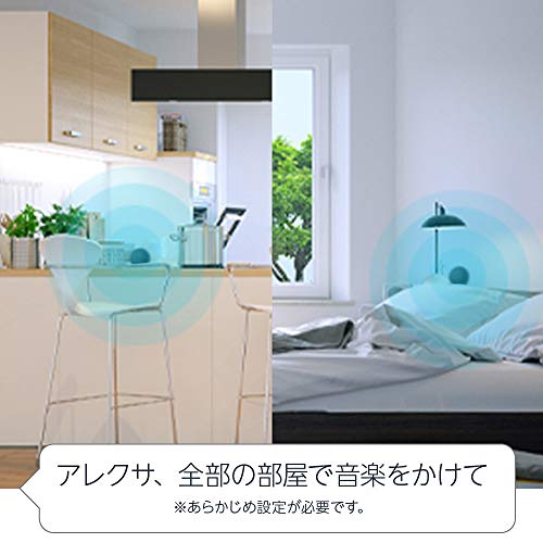 アマゾン Echo Dot 第4世代 スマートスピーカー 時計表示機能無しモデル チャコール