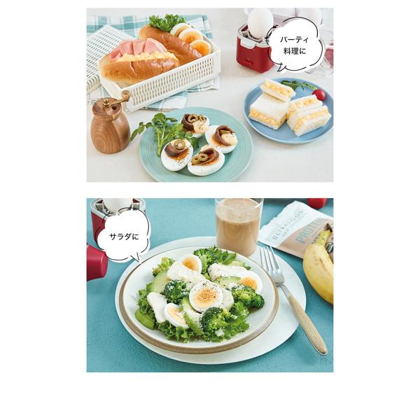 recolte エッグスチーマー RES-1