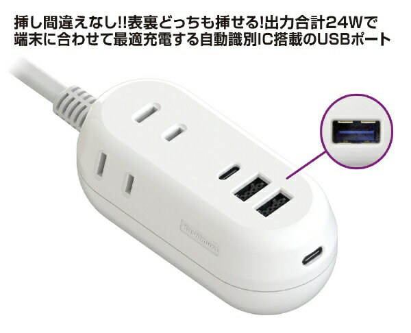 カシムラ USB付電源タップ AC-021
