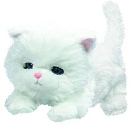 楽天市場】オスト ねむねむにゃんこ ブランちゃん | 価格比較 - 商品