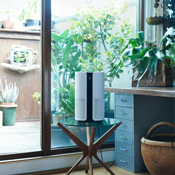 新品 duux 空気清浄機 Bright 【DXPU07JP-WT】～18畳 楽天市場】duux デュクス Bright ブライト DXPU07JP 空気清浄機 空気