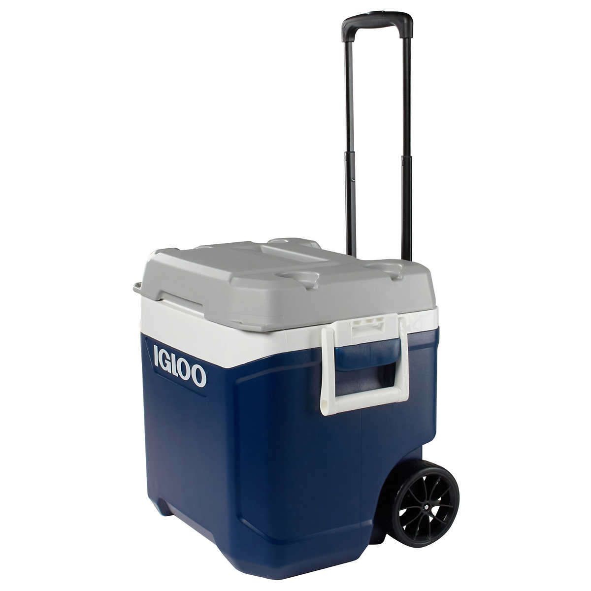 クーラーボックス　58L Amazon | IGLOO イグルー マックスコールド クーラーボックス 58L