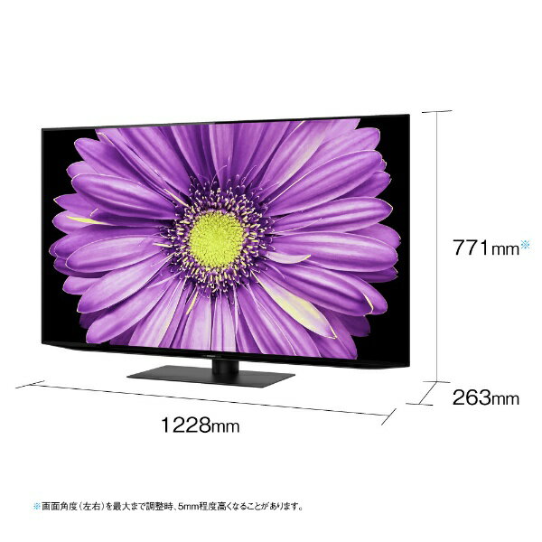 ☆*☆様 有機ELテレビ 4T-C55DQ2 2022年製 楽天市場】シャープ SHARP 4K有機ELテレビ AQUOS DQ2 4T-C55DQ2 | 価格