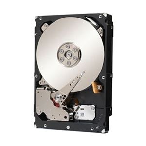 Seagate 3.5インチ内蔵HDD 2TB SAS 6.0Gb/ s 7200rpm 128MB ST2000NM0023