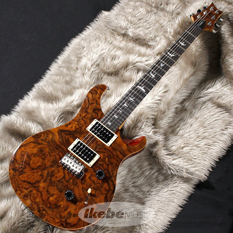 楽天市場】コルグ P.R.S. Ikebe Original SE CUSTOM 24 Bird