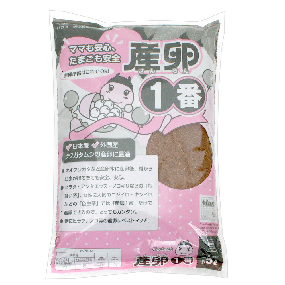 17e2c4475725ffa1c16efca3ba5ef2