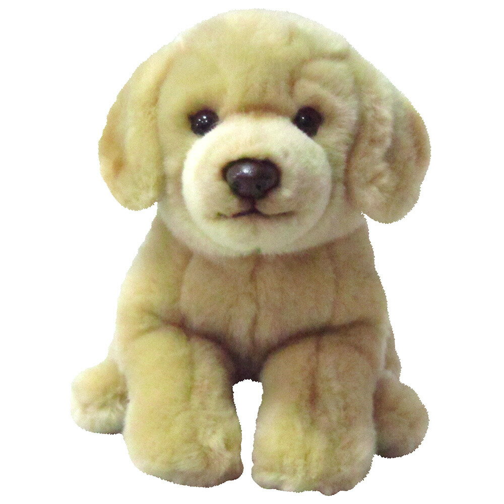 楽天市場】トイザらスオリジナル ぬいぐるみ ゴールデンレトリバー