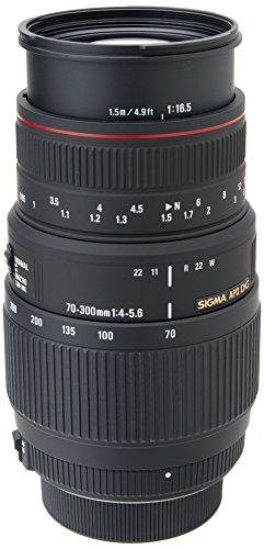 SIGMA APO 70-300mm F4-5.6 DG Macro
