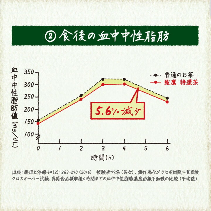 【全国送料無料・メーカー直送品・代引不可】コカコーラ 綾鷹 特選茶【特定保健用食品 特保】 500mlペットボトル×24本入×(2ケース)｜ 食事の脂肪と糖が気になる方へ トクホ あやたか｜のぞみマーケット店