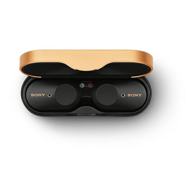 楽天市場】ソニーグループ SONY ノイズキャンセル機能搭載 完全